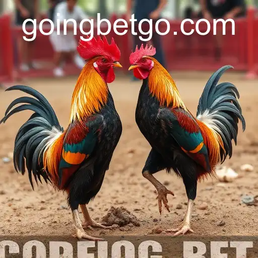 Gaming Experience GOINGBET - 800+ Premium and Exclusive Games